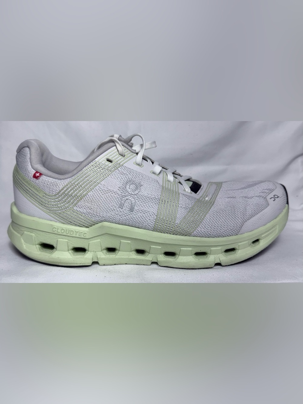 ON RUNNING Cloudgo Sneakers